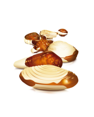 Bombones Frutos del Mar 2 Kgs.