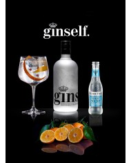 Ginebra Ginself Premium 0.70 L.