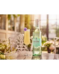 Ginebra Bloom Premium 0.70 L.