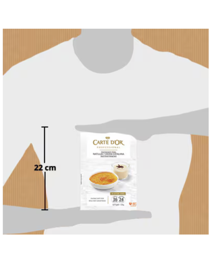 Carte D´or Natillas / Crema Catalana caja 516 g.