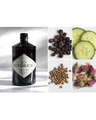 Comprar Ginebra Hendricks 700 ml al mejor precio
