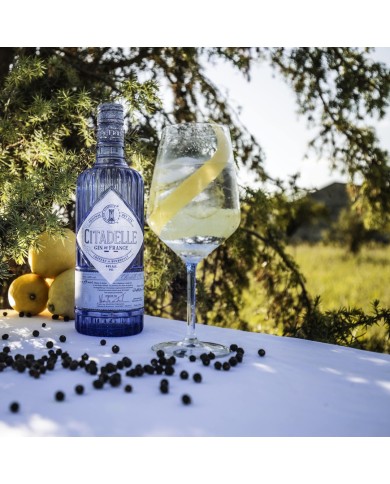 Ginebra Citadelle Premium 700 ml.