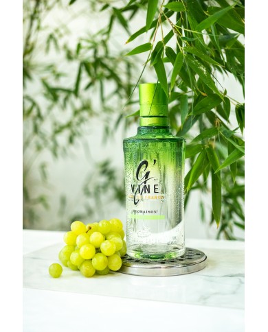 Ginebra GVine Floraison Premium Litro