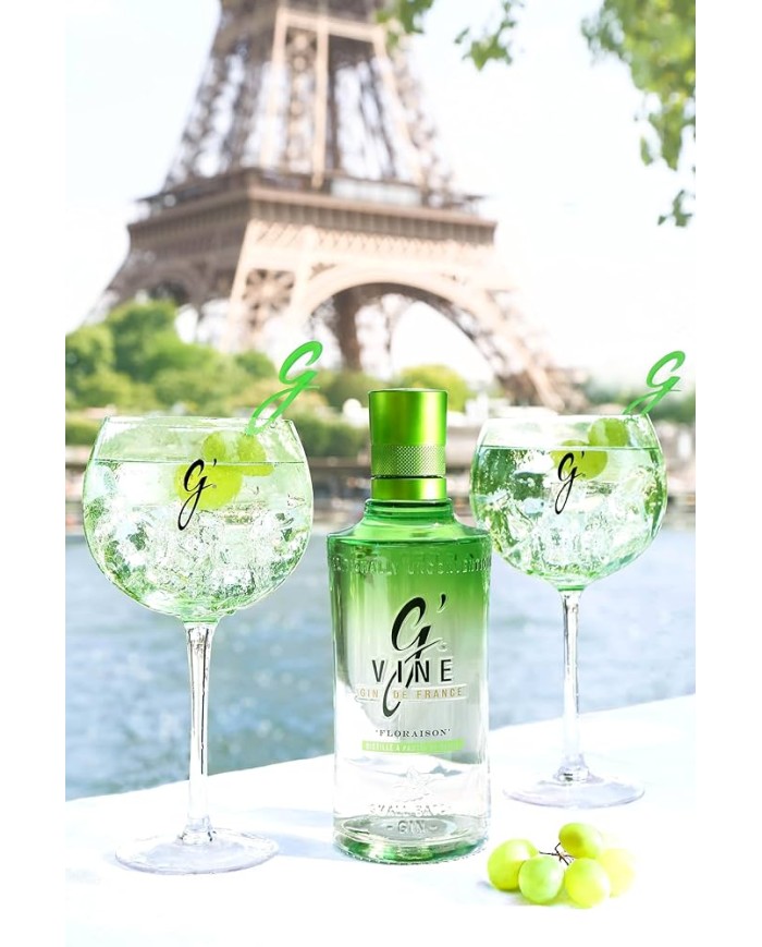 Comprar Ginebra GVine Floraison 1 litro al mejor precio