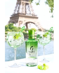 Comprar Ginebra GVine Floraison 1 litro al mejor precio