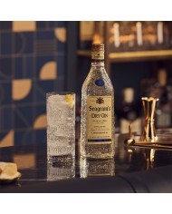 Ginebra Seagram's Extra Dry 700 ml.