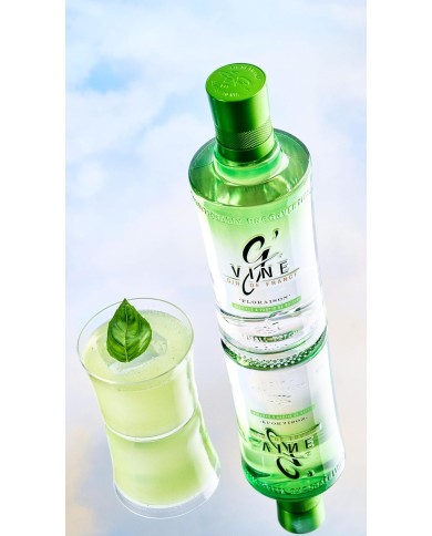 Gin GVine Floraison Premium 700 ml