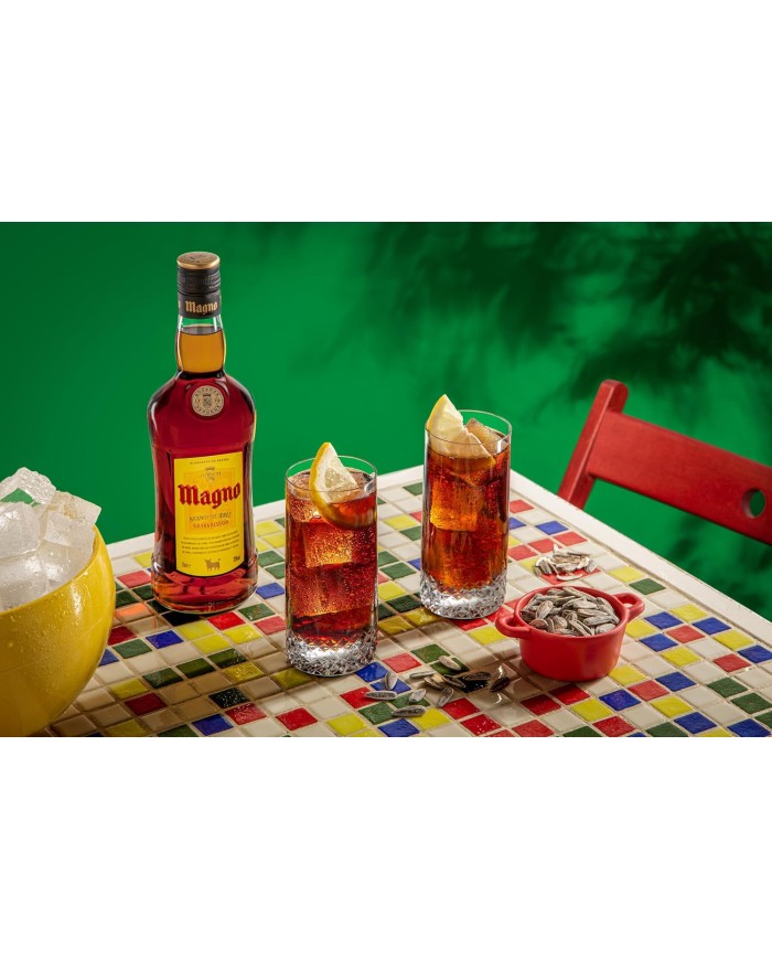 Brandy Magno 1 litro