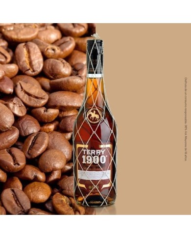 Brandy Terry 1900 Solera Reserva 700 ml.