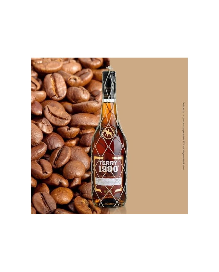 Brandy Terry 1900 Solera Reserva 700 ml.
