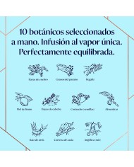 Comprar Ginebra Bombay Sapphire 700 ml al mejor precio