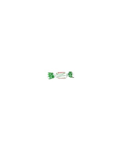 Respiral Eucalipto Mentol bolsa de 1 kg.