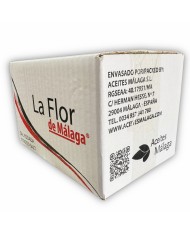 Comprar Sal yodada monodosis en sobres La Flor de Málaga