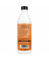 La Fragua sirope de Caramelo botella 1200 gramos