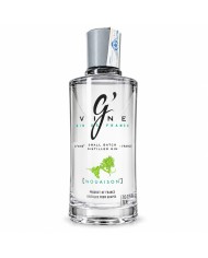Comprar ginebra GVine Nouaison premium al mejor precio online