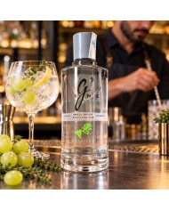 Comprar ginebra GVine Nouaison premium al mejor precio online