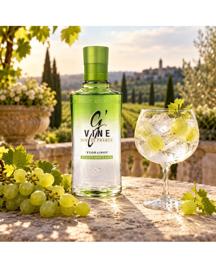 Comprar Ginebra GVine Floraison 1 litro al mejor precio