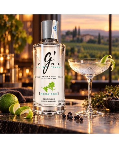 Comprar ginebra GVine Nouaison premium al mejor precio online