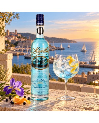 Comprar Ginebra Magellan 700 ml al mejor precio