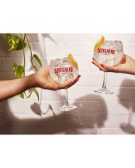 Comprar Ginebra Beefeater London Dry 1 litro al mejor precio