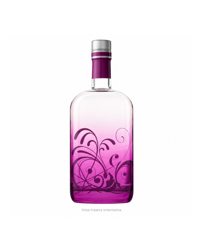 Comprar Ginebra Tanns 700 ml al mejor precio