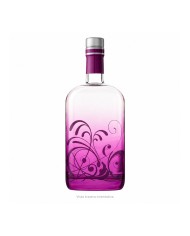 Comprar Ginebra Tanns 700 ml al mejor precio