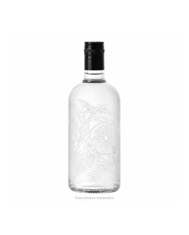 Comprar Ginebra Ginself 700 ml al mejor precio