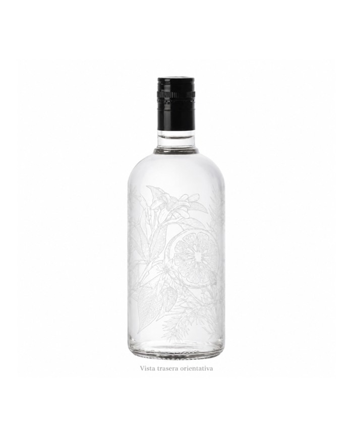 Comprar Ginebra Ginself 700 ml al mejor precio