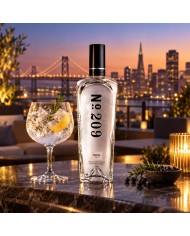 Comprar Ginebra N 209 700 ml al mejor precio