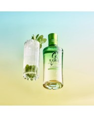 Comprar Gin GVine Floraison 700 ml al mejor precio