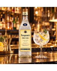 Comprar Ginebra Seagrams 1 litro al mejor precio
