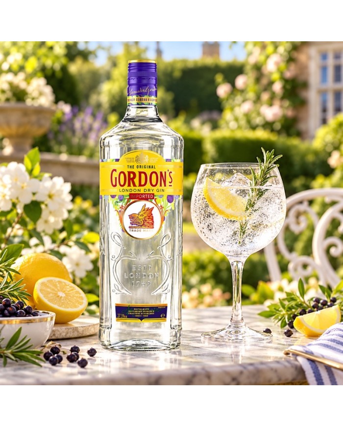 Comprar Ginebra Gordons London Dry 700 ml al mejor precio