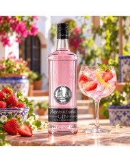 Comprar Gin Puerto de Indias Strawberry 1 litro al mejor precio