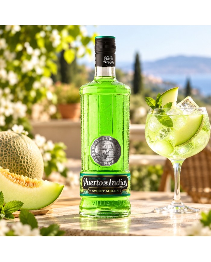 Comprar Gin Puerto de Indias Melon 700 ml al mejor precio
