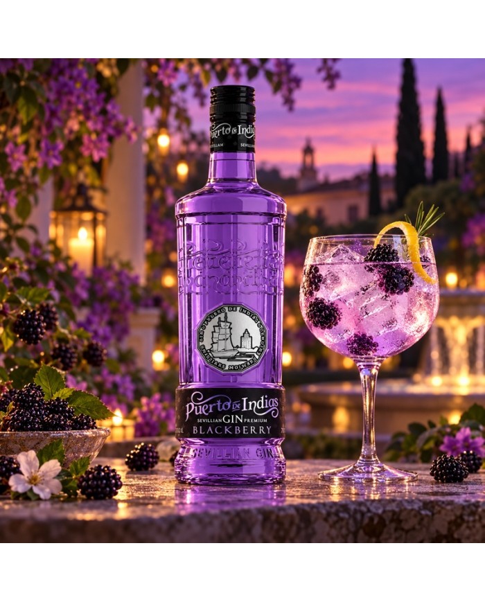 Comprar Gin Puerto de Indias Blackberry 700 ml al mejor precio