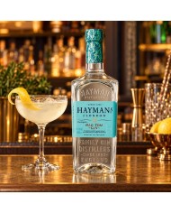Comprar Ginebra Hayman's Old Tom 700 ml al mejor precio
