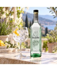 Comprar Ginebra Bloom 700 ml al mejor precio