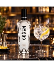 Comprar Ginebra N 209 700 ml al mejor precio