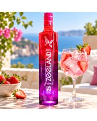 Comprar Gin Zeeland Pink Premium 700 ml al mejor precio online