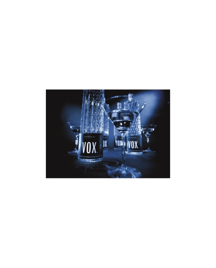 Comprar Vodka Vox Premium al mejor precio Online