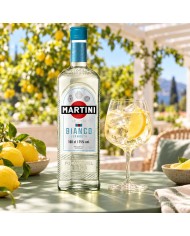 Comprar Martini Bianco 1 Litro BIANCO al mejor precio Online