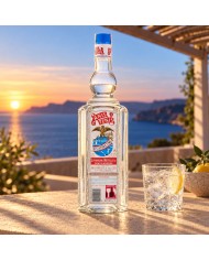 Comprar Anis Tenis Seco 1 L. al mejor precio Online