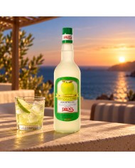 Comprar Dros'L Licor de Manzana Verde Sin Alcohol al mejor precio