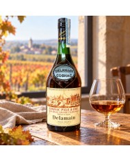 Comprar Delamain Cognac Pale Y Dry France botella antigüa
