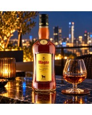 Comprar Brandy Magno de jerez 1litro al mejor precio Online