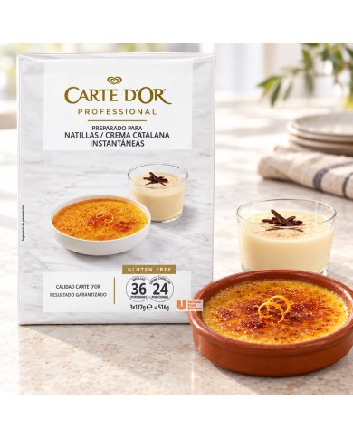 Comprar Crema Catalana Carte D´or 516 g al mejor precio